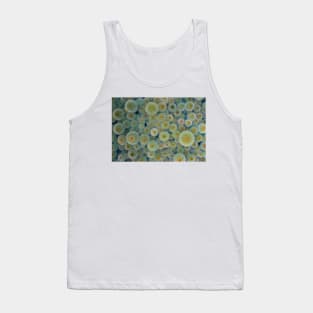 Notocactus leninghausii (B620/0637) Tank Top